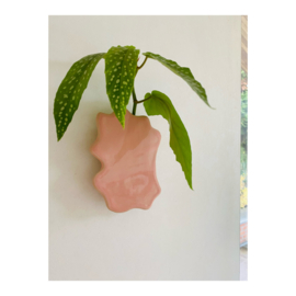 wall vase - whimsical