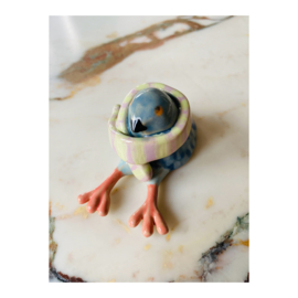 kleiduifje met sjaal