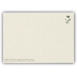 Ansichtkaart Wij hebben lief, omdat Hij ons eerst heeft liefgehad.