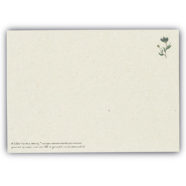 Ansichtkaart BETERSCHAP tak met blauwe bloemen