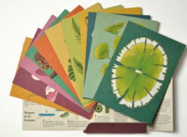 Set 12 Postkaarten PLANTENRIJK en Evolutie