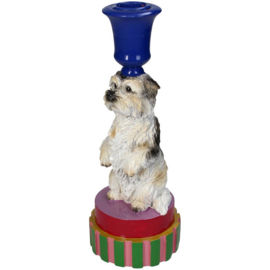 Kandelaar terriër hondje