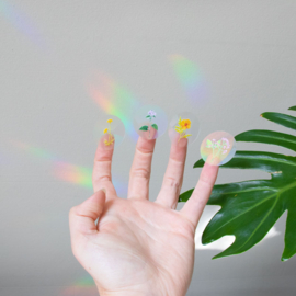 Mini Rainbow maker stickers  - Botanopia