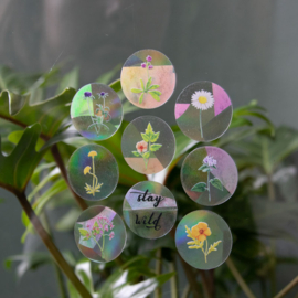 Mini Rainbow maker stickers  - Botanopia