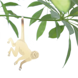 Plant Animal Monkey - Another Studio