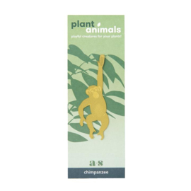 Plant Animal Chimpanzee - Another Studio