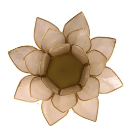 Lotus Sfeerlichten