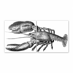 Tegelsticker Lobster - Boubouki