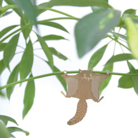 Plant Animal flying squirrel - Another Studio