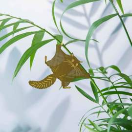 Plant Animal flying squirrel - Another Studio