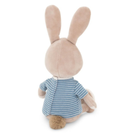 Lucas the rabbit