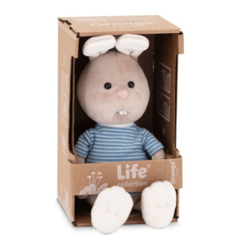 Lucas the rabbit