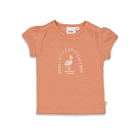 T-shirt Terra Flamingo