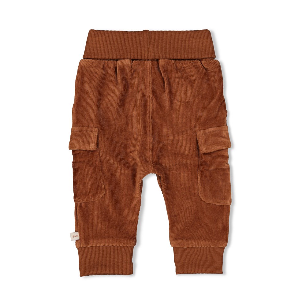 Broek velours Wild World