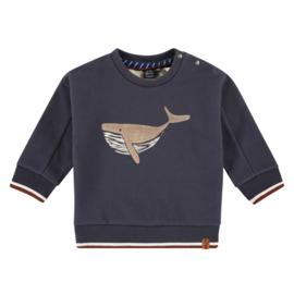 Sweatshirt whale