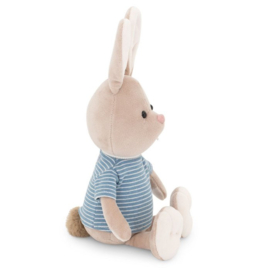 Lucas the rabbit