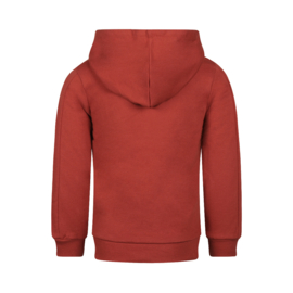 Hoodie Arizona