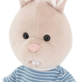 Lucas the rabbit