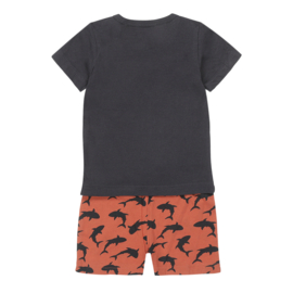 Pyjama sharks