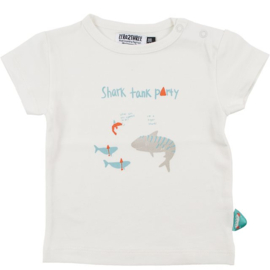 T-shirt shark