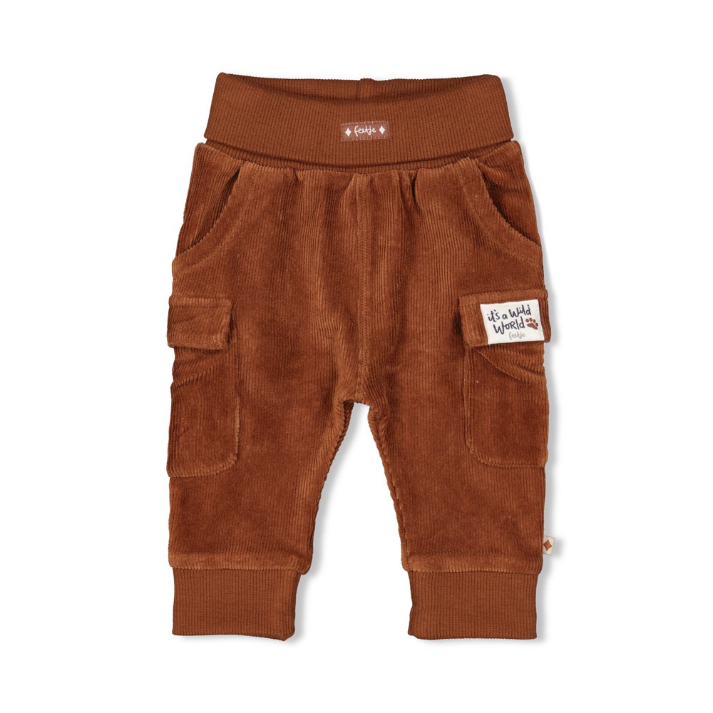 Broek velours Wild World