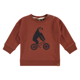 Sweater monkey bike