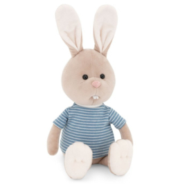 Lucas the rabbit