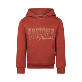 Hoodie Arizona