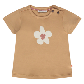 T-shirts korte mouw