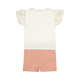 Setje t-shirt en short Flamingo