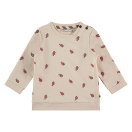 Sweater Teddy AO