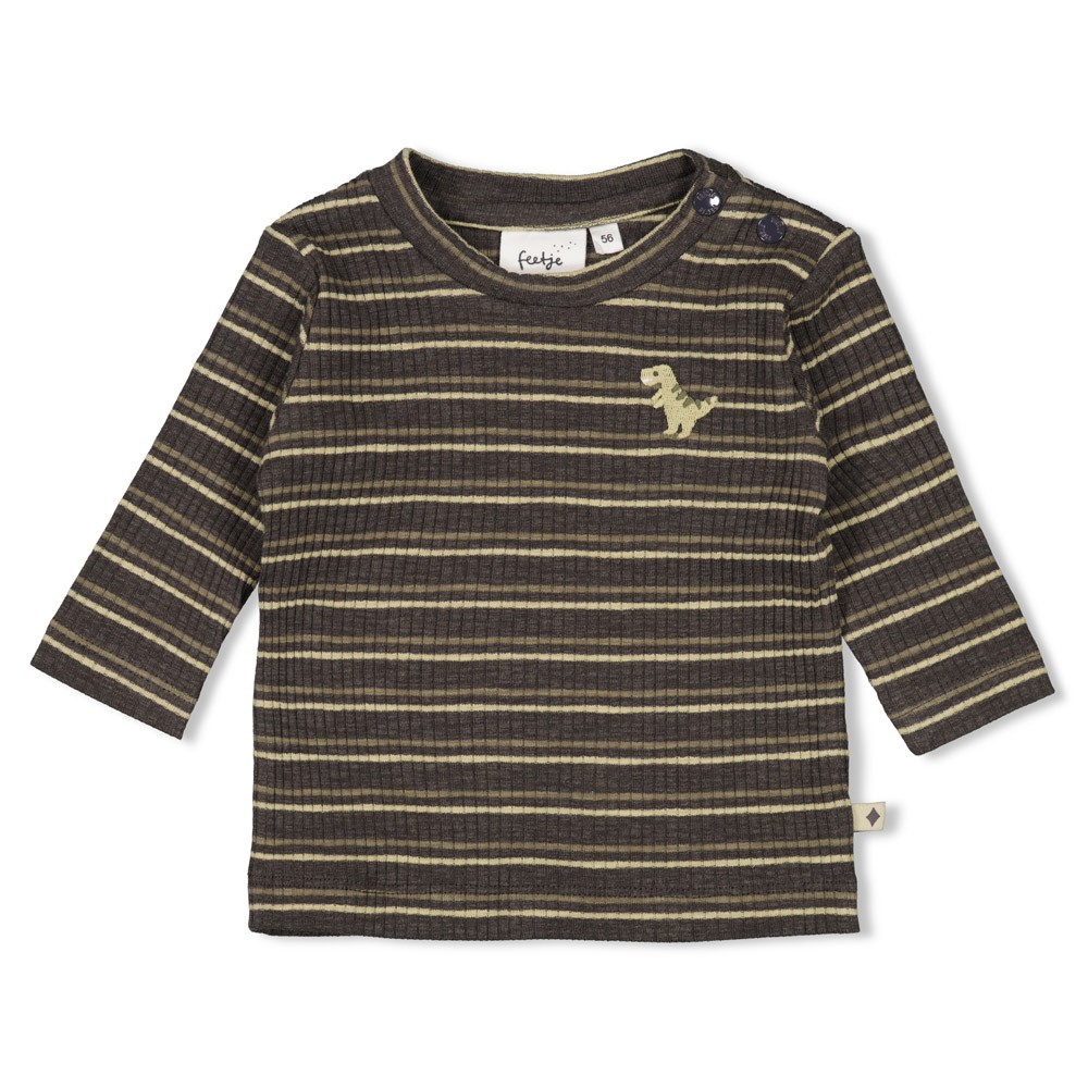 T-shirt LS Rawsome streep