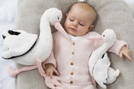 Stork Sacha