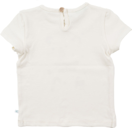 T-shirt bonjour amigo