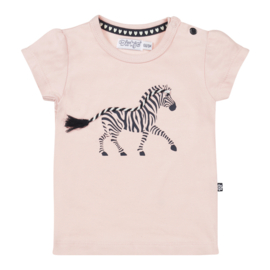 T-shirt Zebra