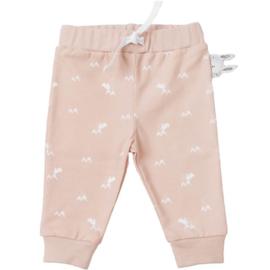 Broek rabbit