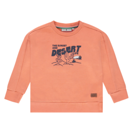 Sweatshirt Desert Life