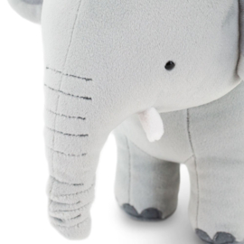 Olifant