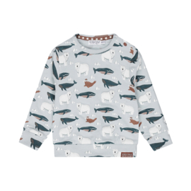 Sweater Petrol