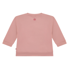 Sweater Apple