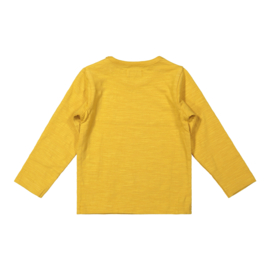 T-shirt lange mouw mountain high