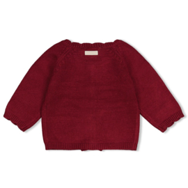 Gebreide cardigan My Little Love