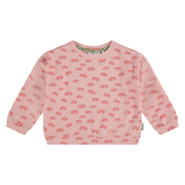 Sweatshirt Scarlet