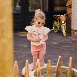 Setje t-shirt en short Flamingo