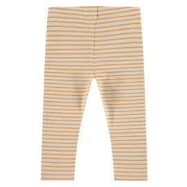 Legging mustard