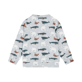 Sweater Petrol