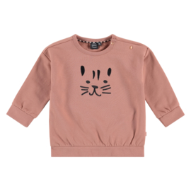 Sweatshirt cat