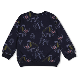 Sweater Rock the Earth AOP