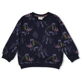 Sweater Rock the Earth AOP