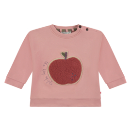 Sweater Apple